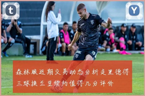 森林狼近期交易动态分析走里德得三球换兰豆续约值得几分评价